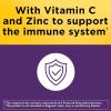 Nature Made Elderberry, Vitamin C and Zinc Capsules, 400 mg Elderberry Extract, Dietary Supplement for Immune Support, 60 Capsules, 60 Day Supply(60 Count (Pack of 2))