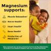 Nature Made Magnesium L-Threonate with Vitamin C & Vitamin D3, Provides 130 mg of Mag from 1800 mg Magnesium L Threonate, Cognitive Support Magnesium Supplement, 90 Capsules, 30 Day Supply(90 Count (Pack of 2))