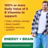 Nature Made Vitamin B Complex Gummies, 5 B Vitamins for Energy and Brain Support, 60 Pectin Based Gummies, 60 Day Supply