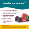 Nature Made Wellblends Calm Mind & Body, Magnesium Citrate, Ashwagandha 125mg & GABA 100mg Blend for Stress Relief, 38 Gummy Vitamins(38 Count (Pack of 1))