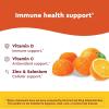 Nature Made Wellblends ImmuneMAX Gummies, Vitamin C, Zinc, and Vitamin D3, Immune Support Supplement, 42 Tangerine Flavor Gummies(42 Count (Pack of 1))