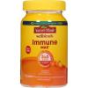 Nature Made Wellblends ImmuneMAX Gummies, Vitamin C, Zinc, and Vitamin D3, Immune Support Supplement, 42 Tangerine Flavor Gummies(42 Count (Pack of 2))