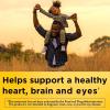 Nature Made Algae Oil Omega 3 Supplement 540mg, Omega 3 Fish Oil Alternative, 70 Veggie Softgels, Sustainable, Plant-Based, for Healthy Heart, Brain, and Eye Support, 70 Softgels(70 Count (Pack of 2))
