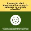 Nature Made Ashwagandha Capsules 125mg for Stress Support, Ashwagandha Supplements, 60 Capsules, 60 Day Supply(60 Count (Pack of 2))