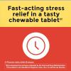 Nature Made Chewable L Theanine 200mg, L-Theanine Supplement for Stress Relief, 50 Chewable Tablets, 50 Day Supply(50 Count (Pack of 1))