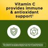 Nature Made Cranberry Supplement 500mg with Vitamin C for Immune & Antioxidant Support, Cranberry Blend for Urinary Tract Health, One Per Day, 60 Capsules