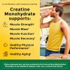 Nature Made Micronized Creatine Monohydrate Powder 5 g per Serving, Unflavored Drink Mix Powder, Muscle Support, 450 g, 90 Day Supply