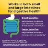 Nature Made Probiotics for Digestive Health Extra Strength 15 Billion CFU from Live Cultures, Probiotics for Women and Men, 30 Probiotic Capsules, 30 Day Supply(Unflavored)