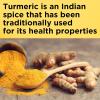 Nature Made Turmeric Curcumin 500 mg, Turmeric Curcumin Supplement for Antioxidant Support, Herbal Supplements, 120 Capsules, 120 Day Supply(120 Count (Pack of 1))