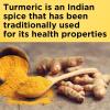 Nature Made Turmeric Curcumin 500 mg, Turmeric Curcumin Supplement for Antioxidant Support, Herbal Supplements, 120 Capsules, 120 Day Supply(60 Count (Pack of 1))